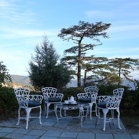 Springfields - A Heritage Palace Since 1902 Shimla Buitenkant foto